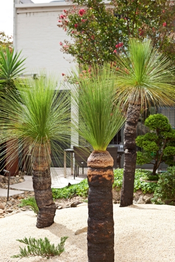 Scott Brown designs an outdoor garden in the middle of the city